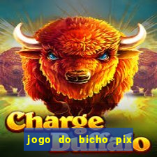 jogo do bicho pix da sorte